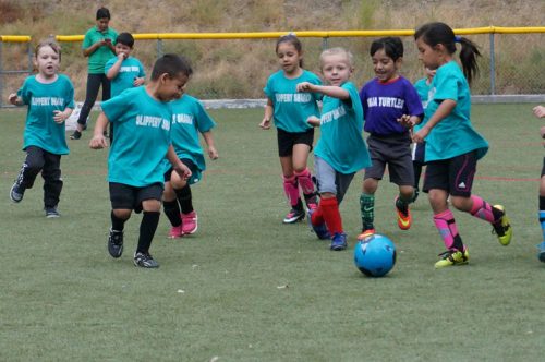 The Slippery Sharks and Ninja Turtles chase the soccer ball during a Town Hall youth soccer game last week. Photo by Chandra Lynn 