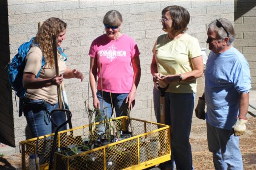 On Friday, Sept. 30, volunteers (from left, Amanda Allen, park interpreter, Carla Mann, Kate Kramer and Paul Jensen) at the Idyllwild Nature Center begin planting Lemon Lily bulbs to help restore the threatened species to its native habitat. Photo by JP Crumrine