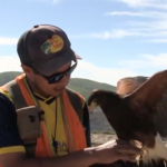 Panoramic views, excitement a surprise for visitors to Lamb Canyon Landfill