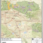 Forest Service seeks public comments for Edison powerline permit renewal