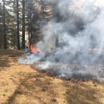 Forest Service completes Thomas Mountain burns