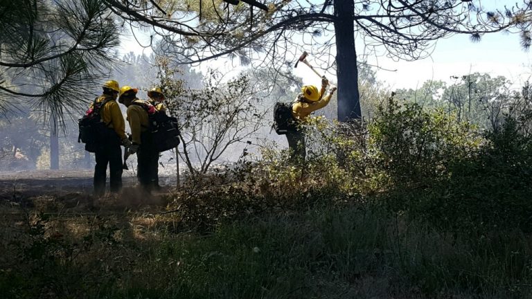 ‘Fulmor’ brush fire near Bay Tree Springs