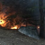Sunday fire in Humber Park quickly controlled