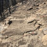 Little damage to Pacific Crest Trail from Cranston Fire
