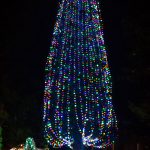 2019 Idyllwild tree lighting  will be extra merry and bright