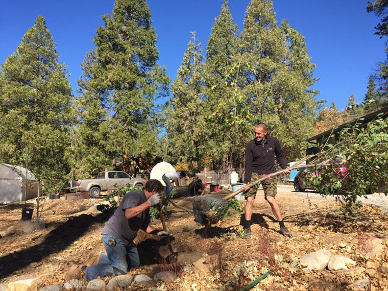 Young Idyllwild Demonstration Garden grows