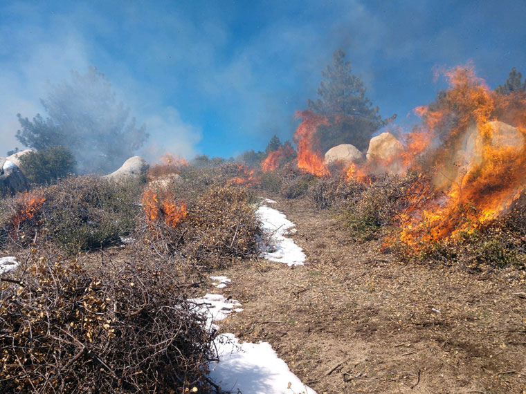 Upper Dry Creek pile burning this week