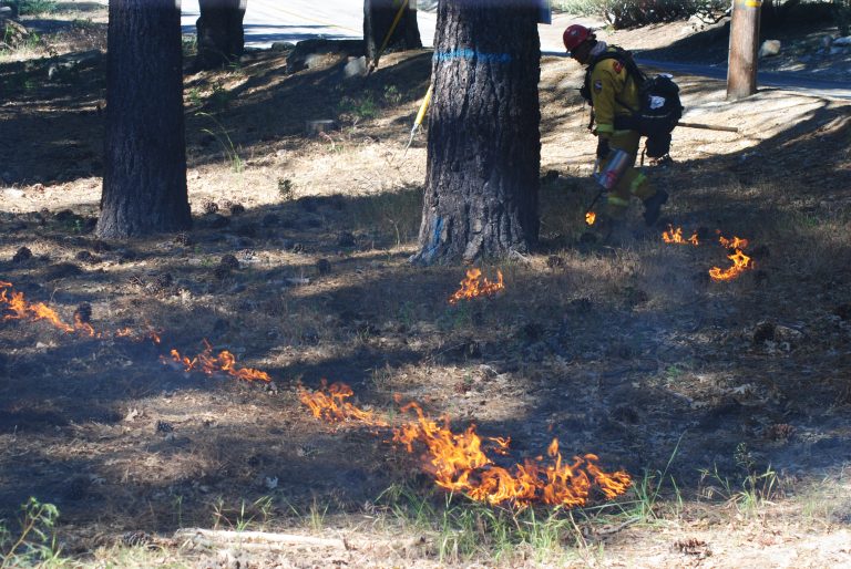 Prescribed burn in Pine Cove Thursday morning