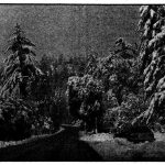 From the Archives: Storm dumps  first snow on the Hill