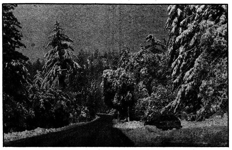 From the Archives: Storm dumps  first snow on the Hill