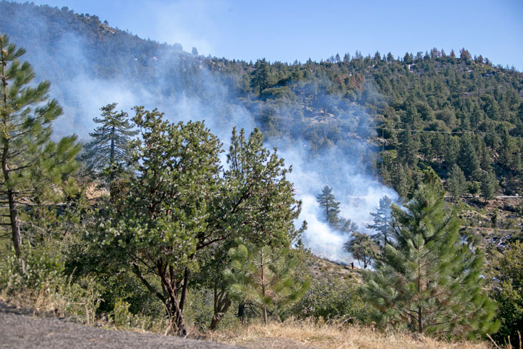 Forest Service to continue pile burning