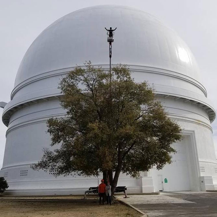 Local arborist talks about the art and science of trees