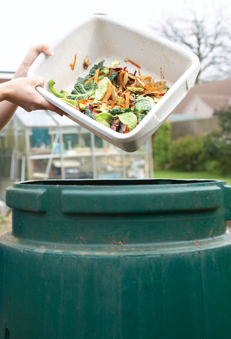 What can and cannot be composted