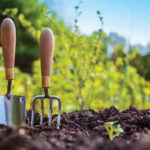 Eight garden tools for beginners