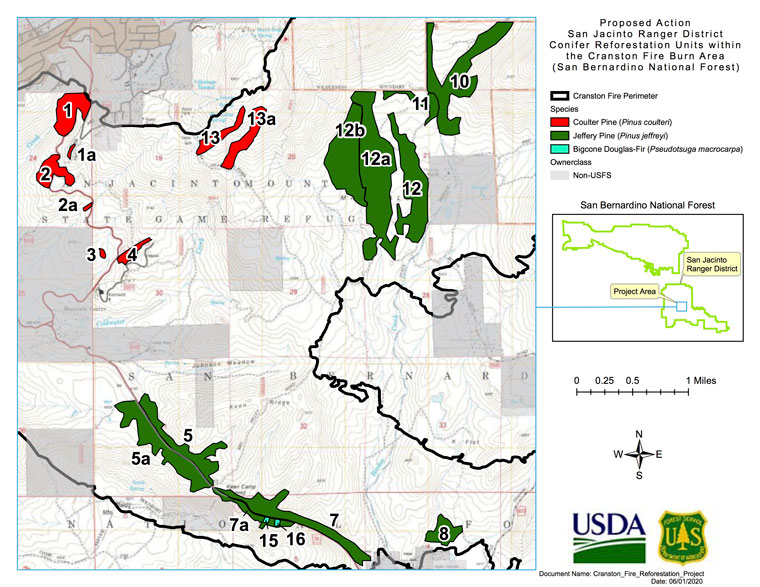 Public comments sought for  Cranston Fire reforestation project