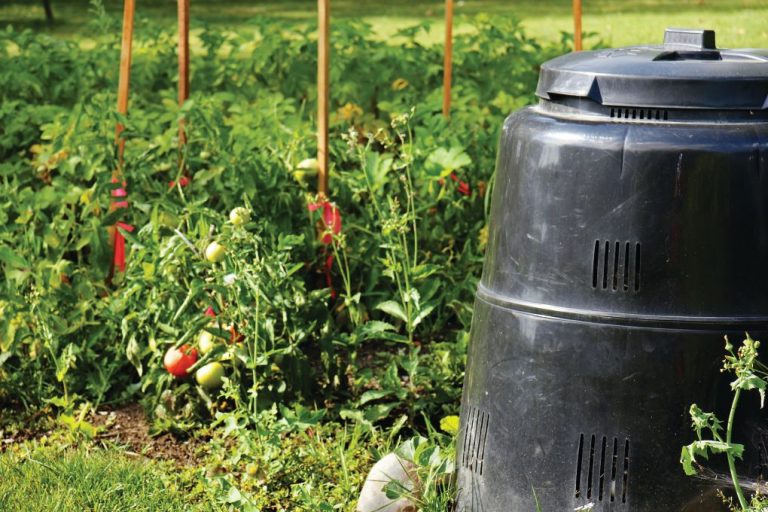 County waste department to provide free virtual composting and vermicomposting classes Saturday