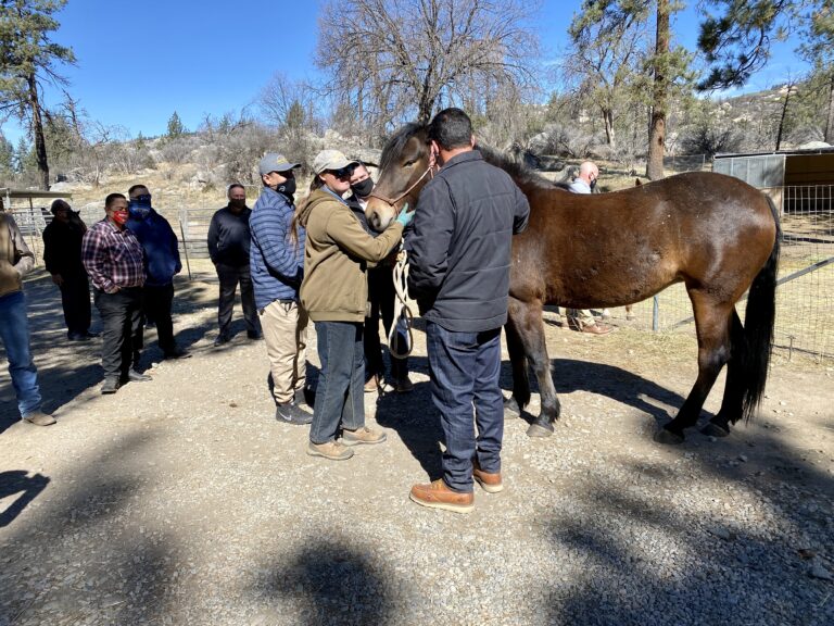 Veterans attending War Horse Creek soon to have housing