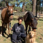 Two horses travel the PCT