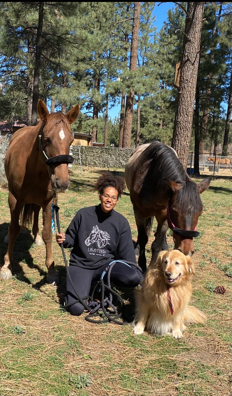 Two horses travel the PCT