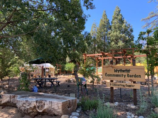 Peter Kindfield continues forest garden class series at the Idyllwild Community Garden