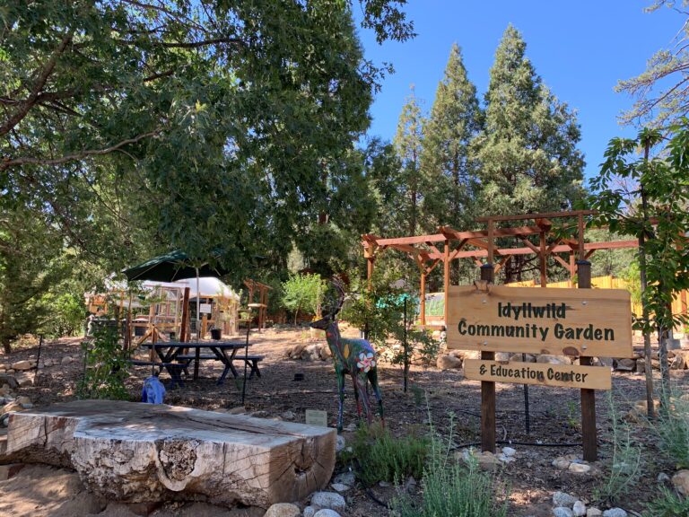 Idyllwild Community Garden class