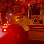 Fallen tree disrupts power; causes small fires