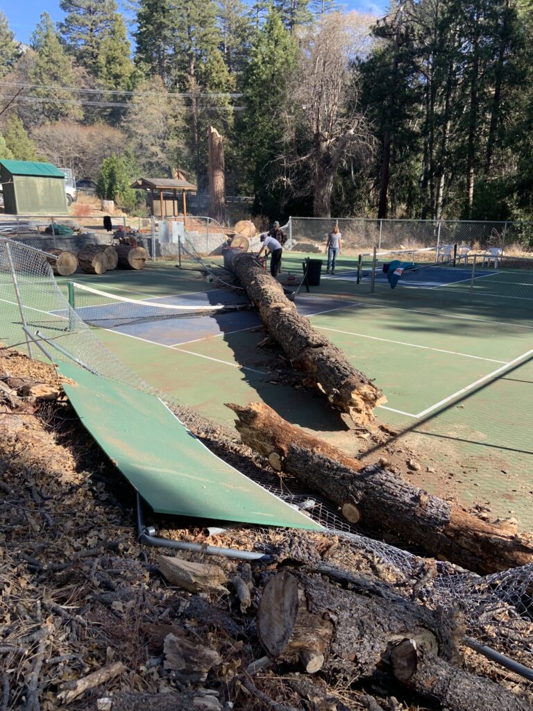 Santa Ana Winds cause major pickleball court damage