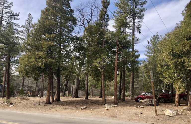 Planning director approves new Idyllwild hotel