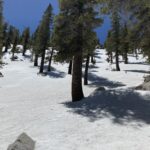 Glissading in the San Jacinto Wilderness