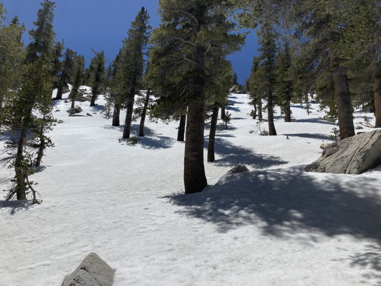 Glissading in the San Jacinto Wilderness