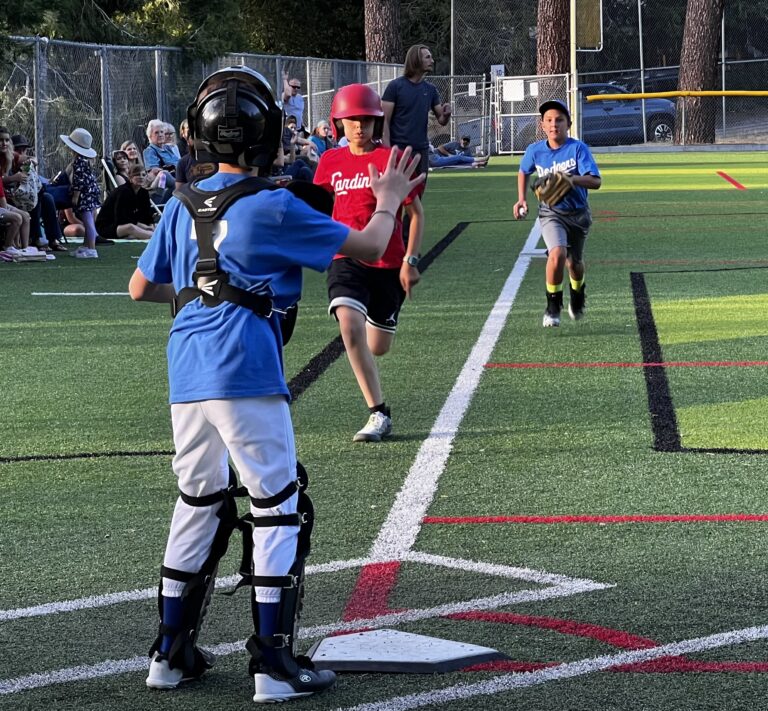 Sports: Youth Baseball