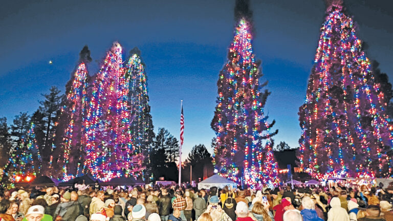 This year’s Tree Lighting Ceremony’s events