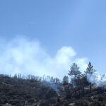 Forest Service will begin pile burns and eventually broader prescribed burns