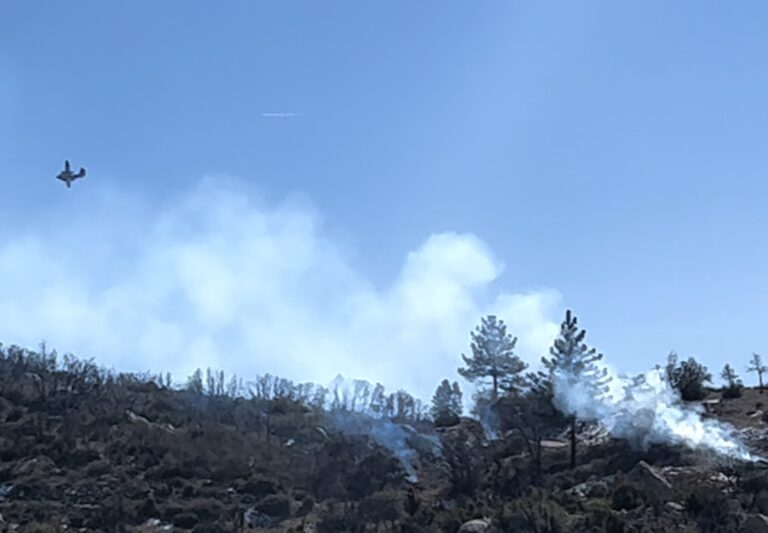 Forest Service will begin pile burns and eventually broader prescribed burns