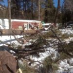 Woman’s home destroyed by tree during storm