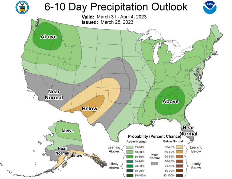 March winds and rain refuse to allow the ‘lamb’ to appear