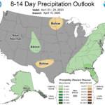 Very wet winter brings low spring wildfire threats