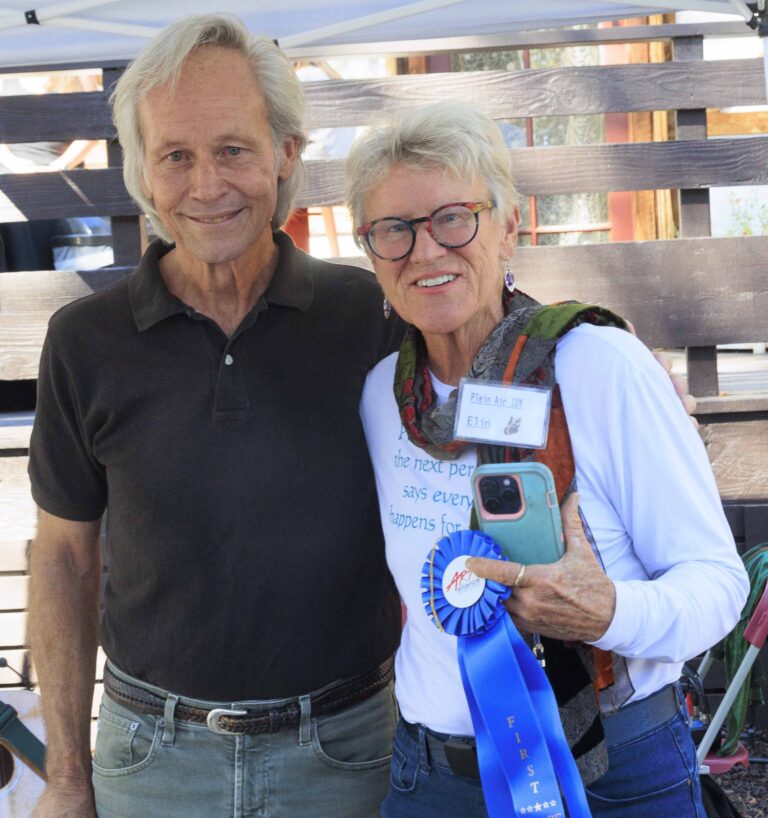 Elin Thomas wins first in Plein Air Festival