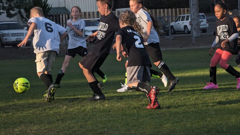 Sports: Youth soccer