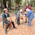 Blessing of the Animals