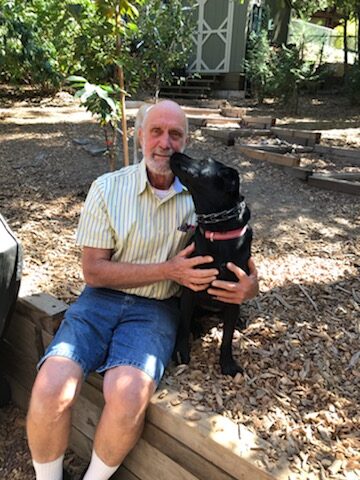 Idyllwild dog saved from Korean slaughterhouse