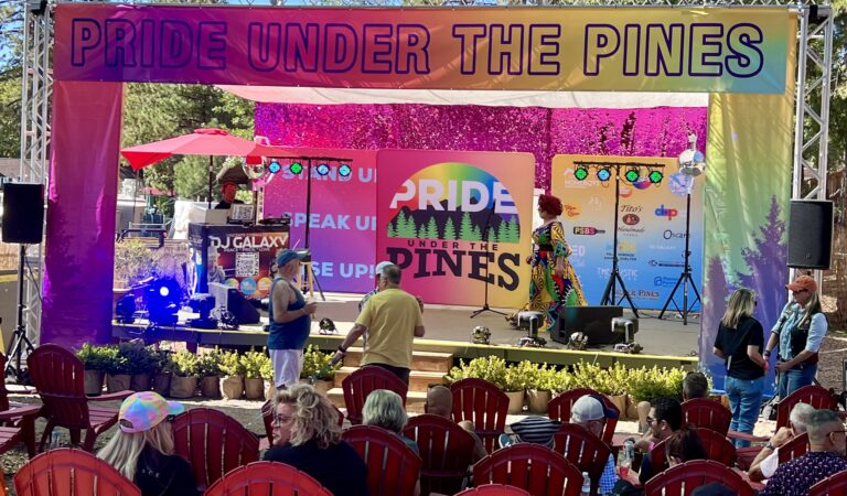 Pride Under the Pines