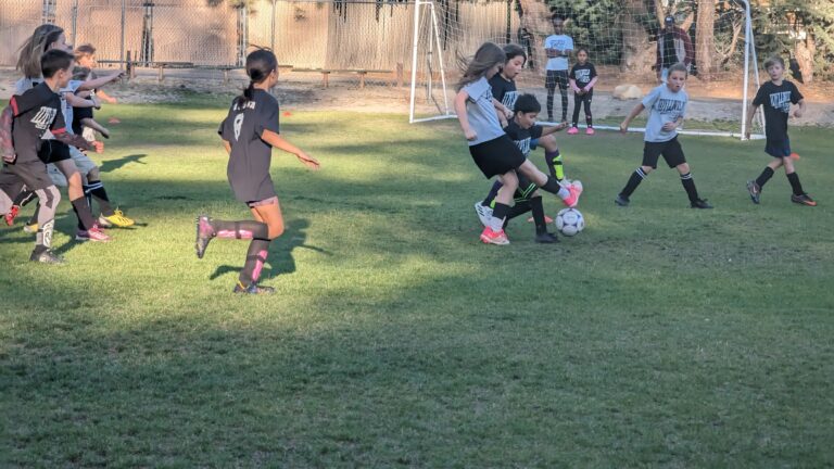 Sports: Youth Soccer