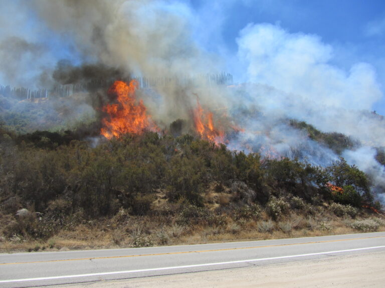 Lara Releases Next Wildfire Insurance Steps