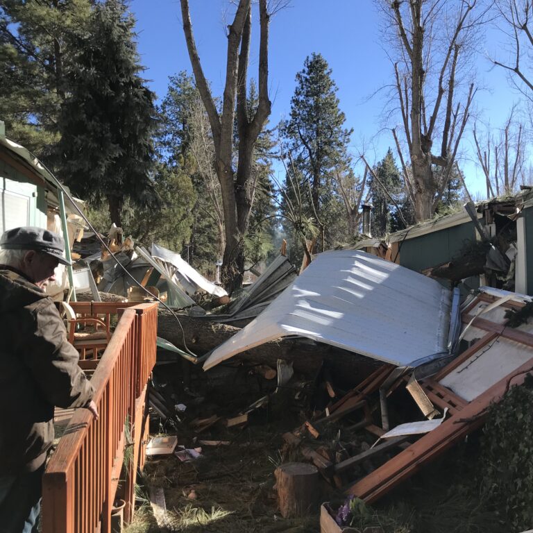 Trailers destroyed at Royal Pines Trailer Park by falling tree, residents displaced