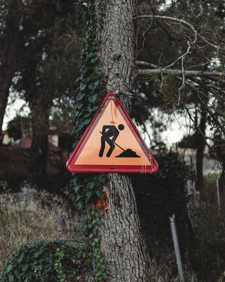 Triangular construction sign on a tree in a forested area of Barcelona.