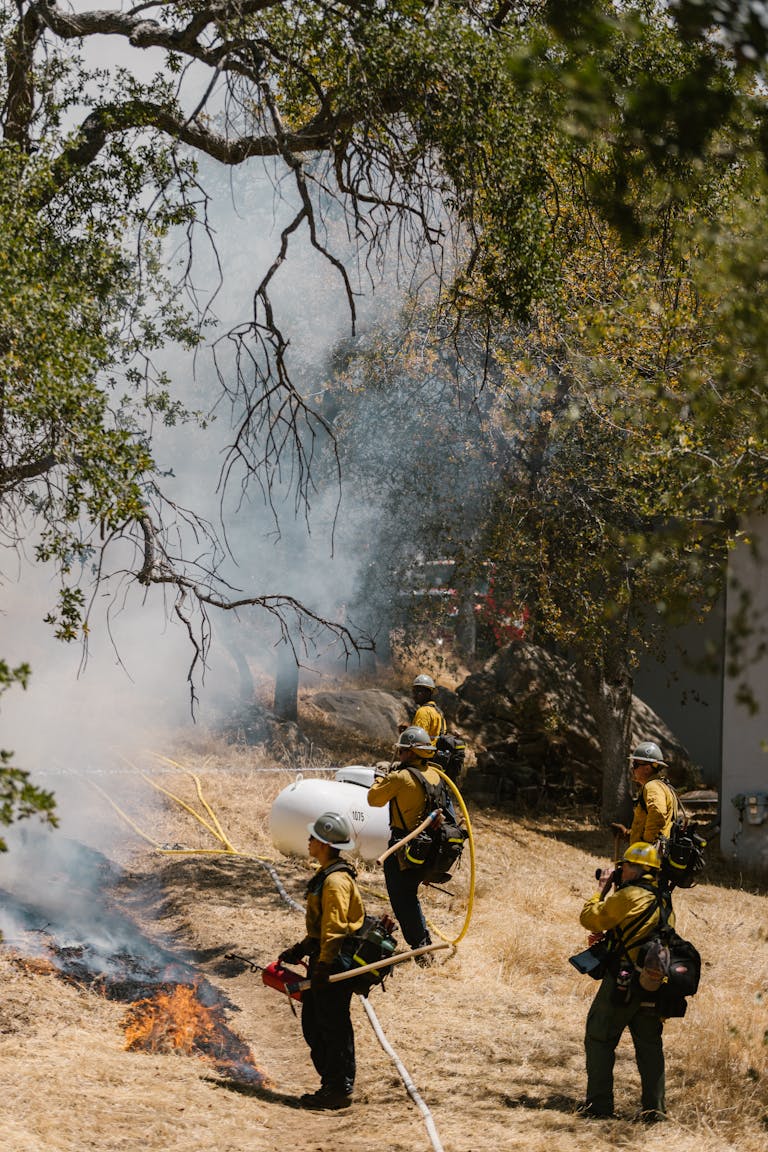 Firefighters in protective gear manage a forest fire in a national park with smoke rising.