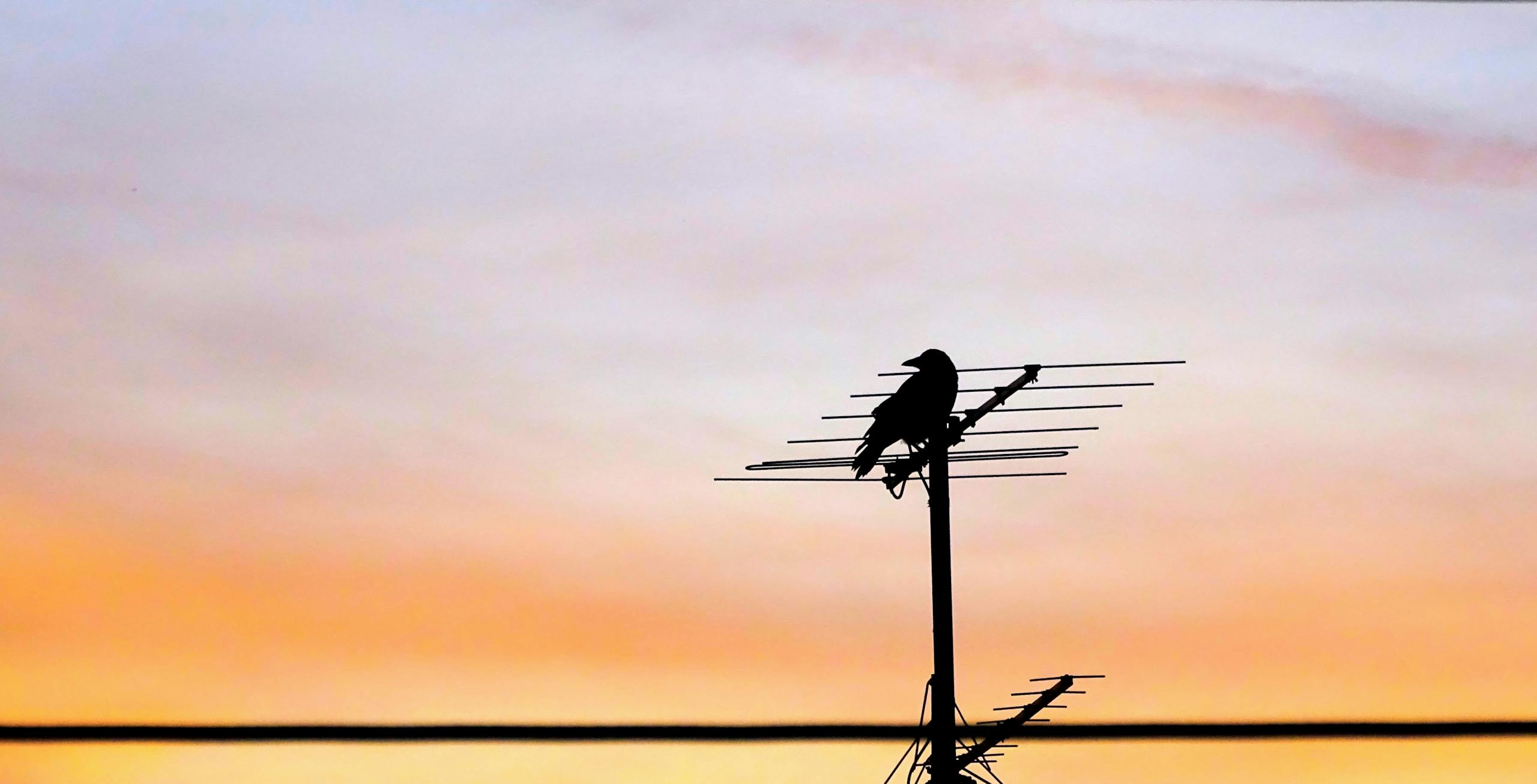 Silhouette of a bird perched on an antenna against a vibrant sunset sky.