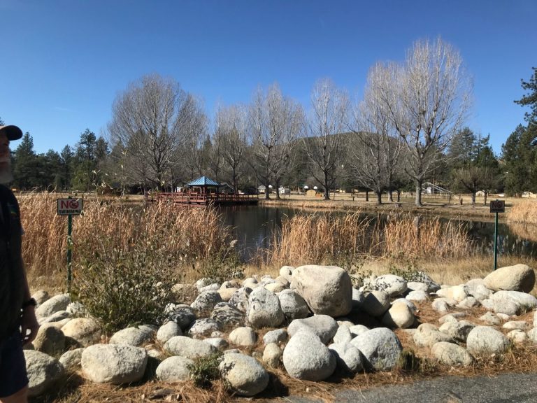 Camp Ronald McDonald visit