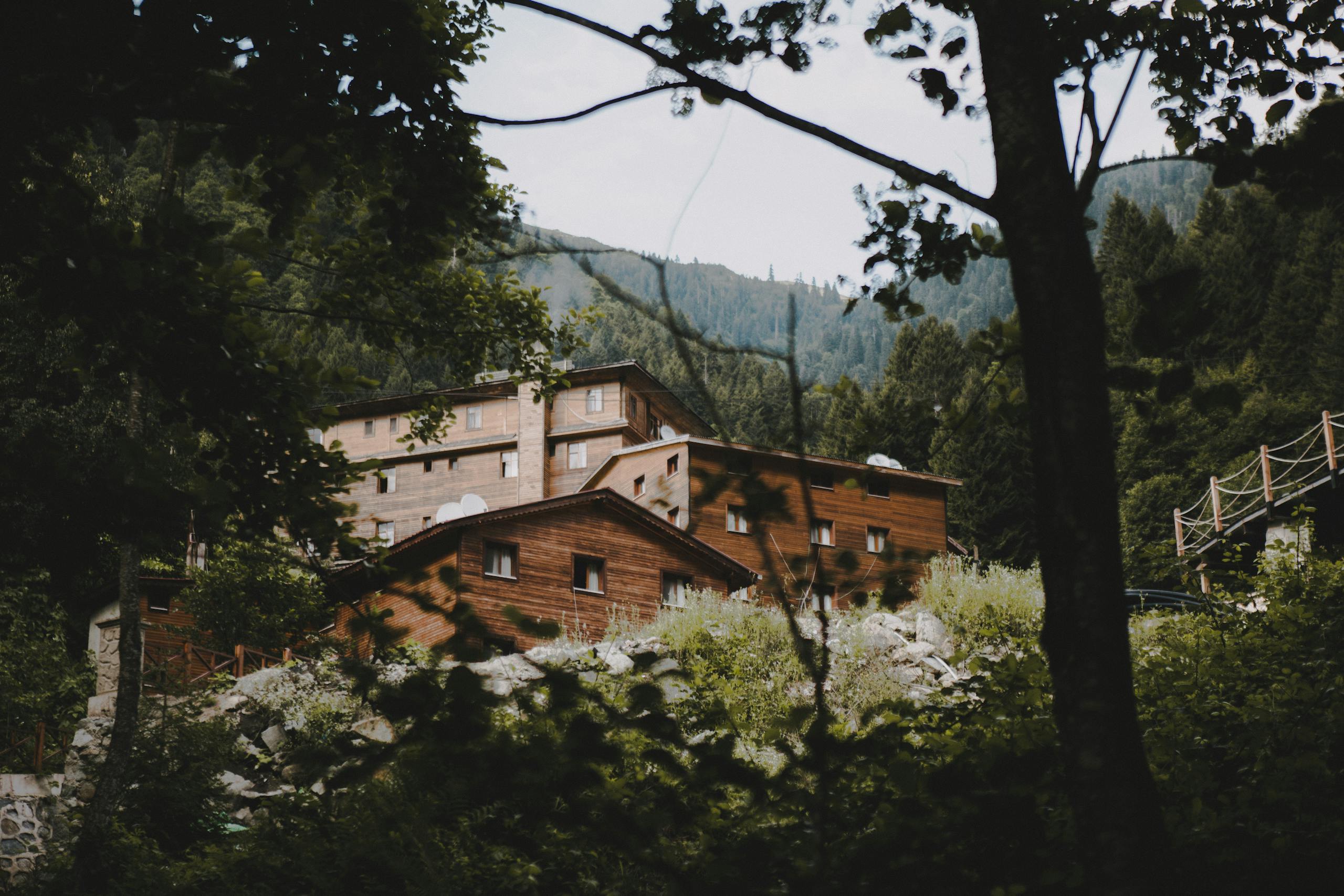 Wooden cabin surrounded by lush forest in Rize, Turkey, captured during daytime.